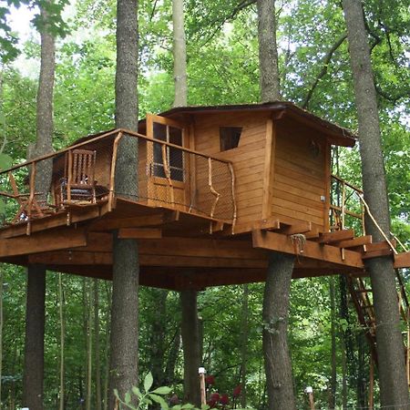 Treehouse V Brdech Bohutín Exterior foto