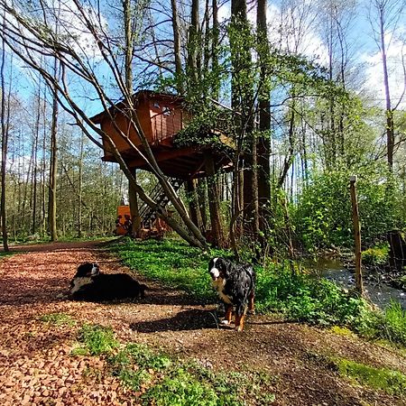 Treehouse V Brdech Bohutín Exterior foto