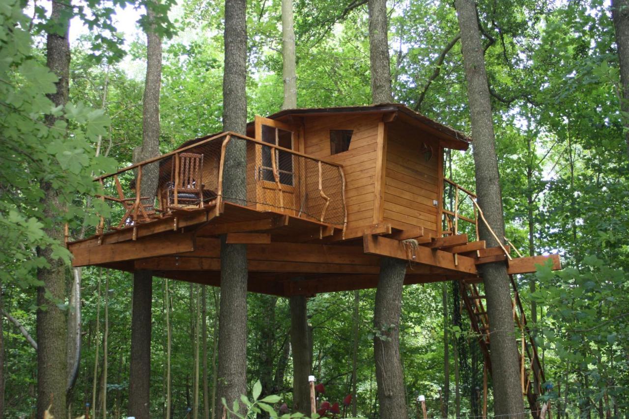 Treehouse V Brdech Bohutín Exterior foto