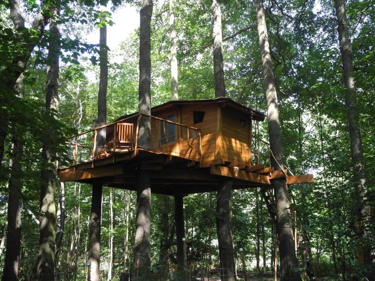 Treehouse V Brdech Bohutín Exterior foto