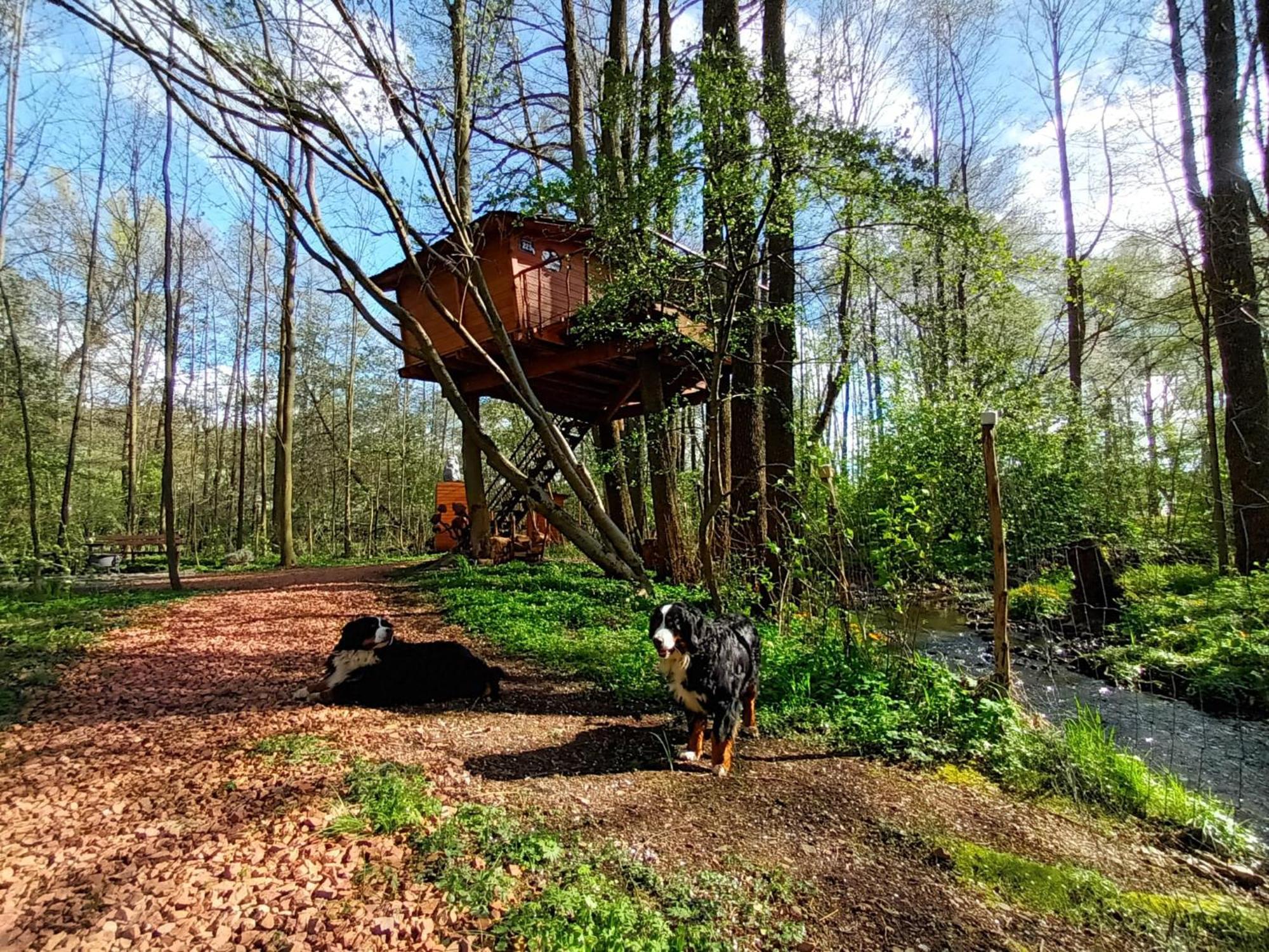 Treehouse V Brdech Bohutín Exterior foto